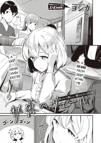 Himitsu no Veil Himitsu no Veil